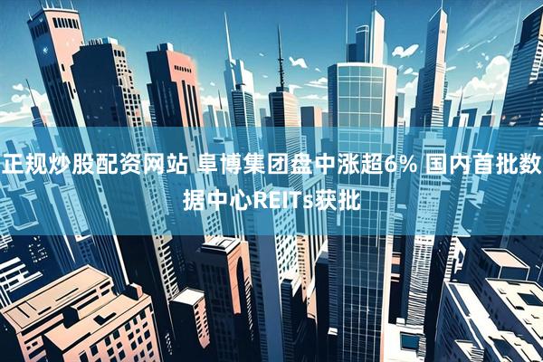 正规炒股配资网站 阜博集团盘中涨超6% 国内首批数据中心REITs获批