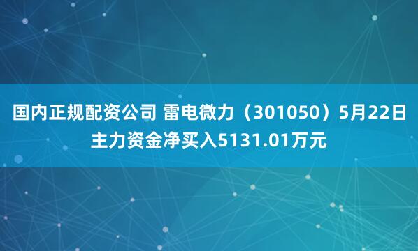 国内正规配资公司 雷电微力（301050）5月22日主力资金净买入5131.01万元