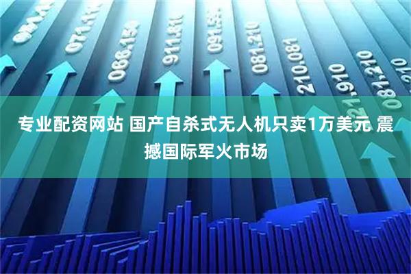 专业配资网站 国产自杀式无人机只卖1万美元 震撼国际军火市场